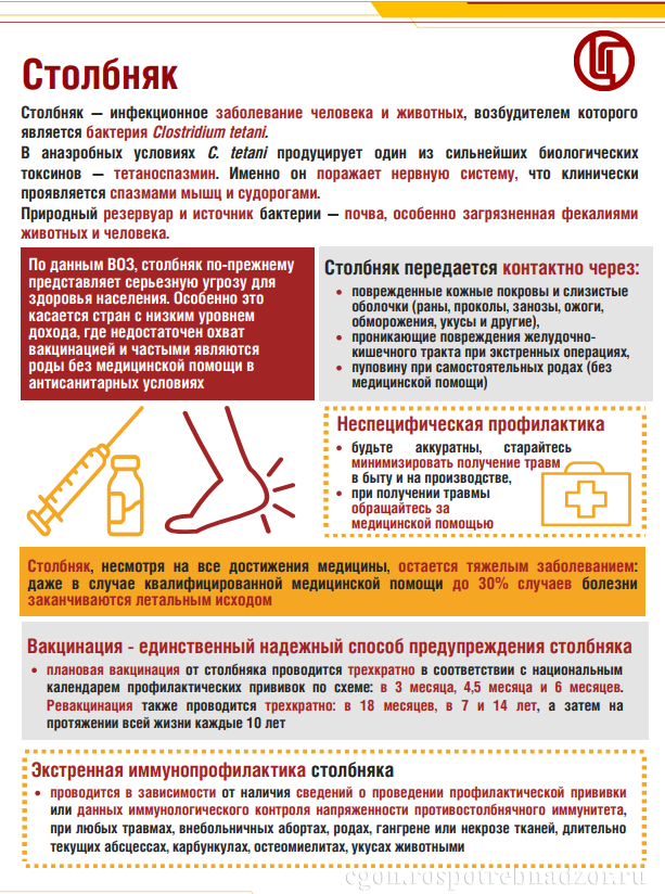 С 24 по 30 апреля 2026 года в Пермском крае пройдут мероприятия в рамках Всемирной недели иммунизации, организованной по инициативе Всемирной организации здравоохранения